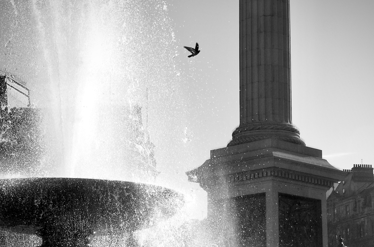 London Photography – Trafalgar Square in glorious sunshine